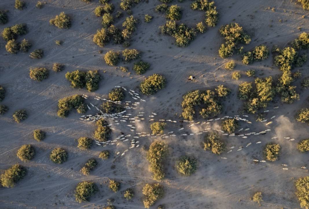 Konyalı besiciler kuraklığa çözüm buldu! Verim düşmeyecek 5